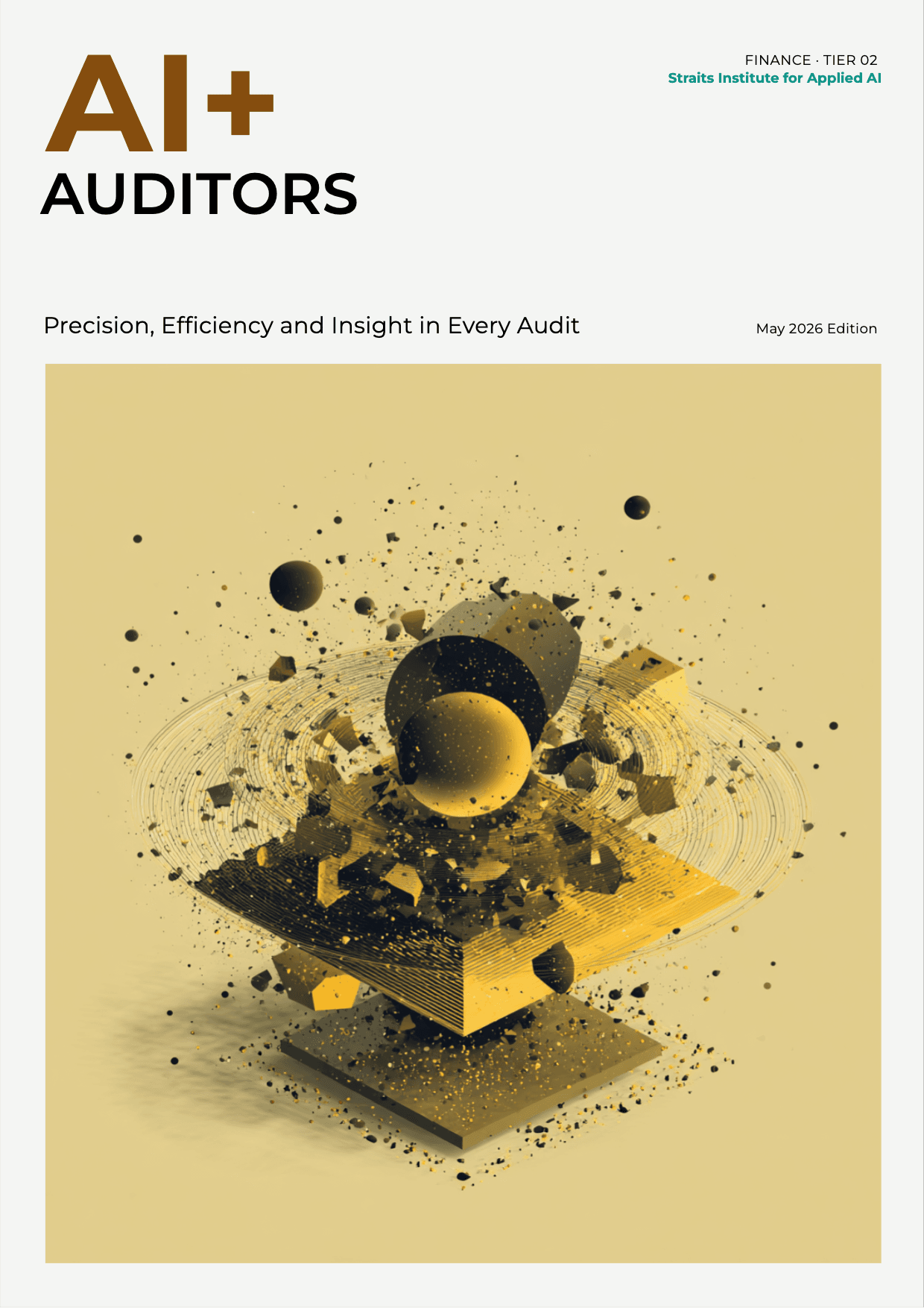 AI+ Auditors cover