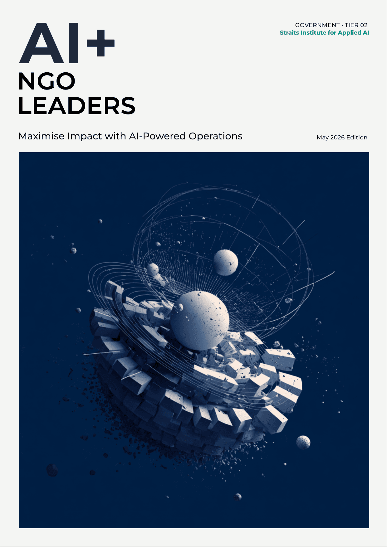 AI+ NGO Leaders cover