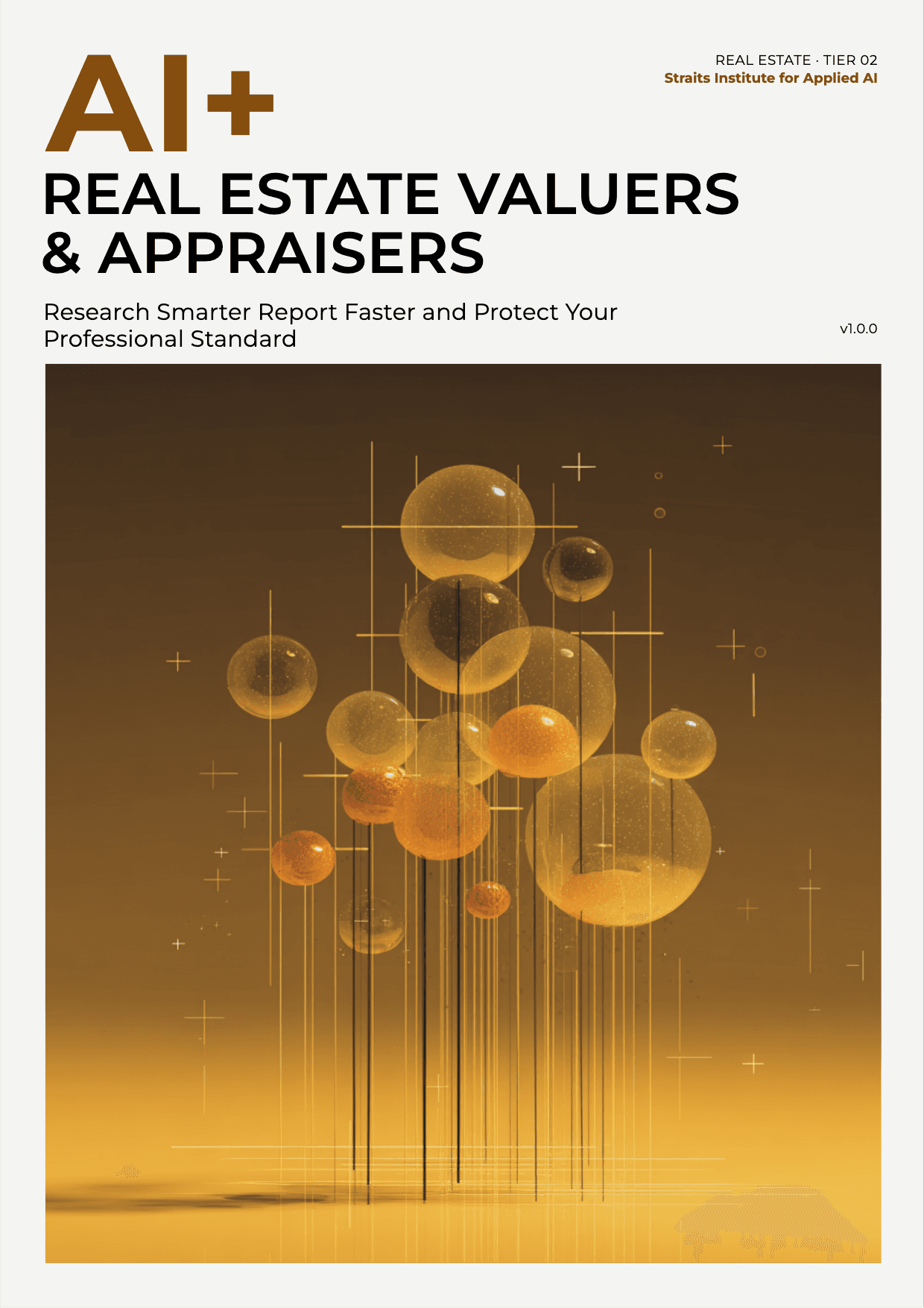 AI+ Real Estate Valuers & Appraisers cover