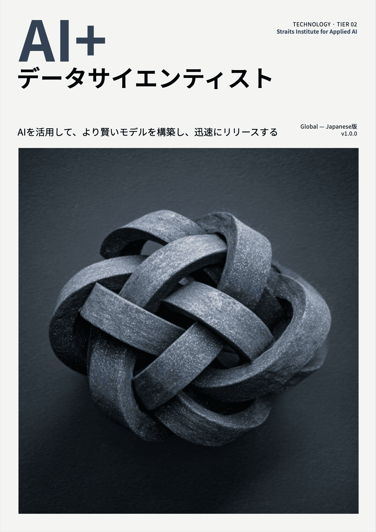 AI+ データサイエンティスト cover
