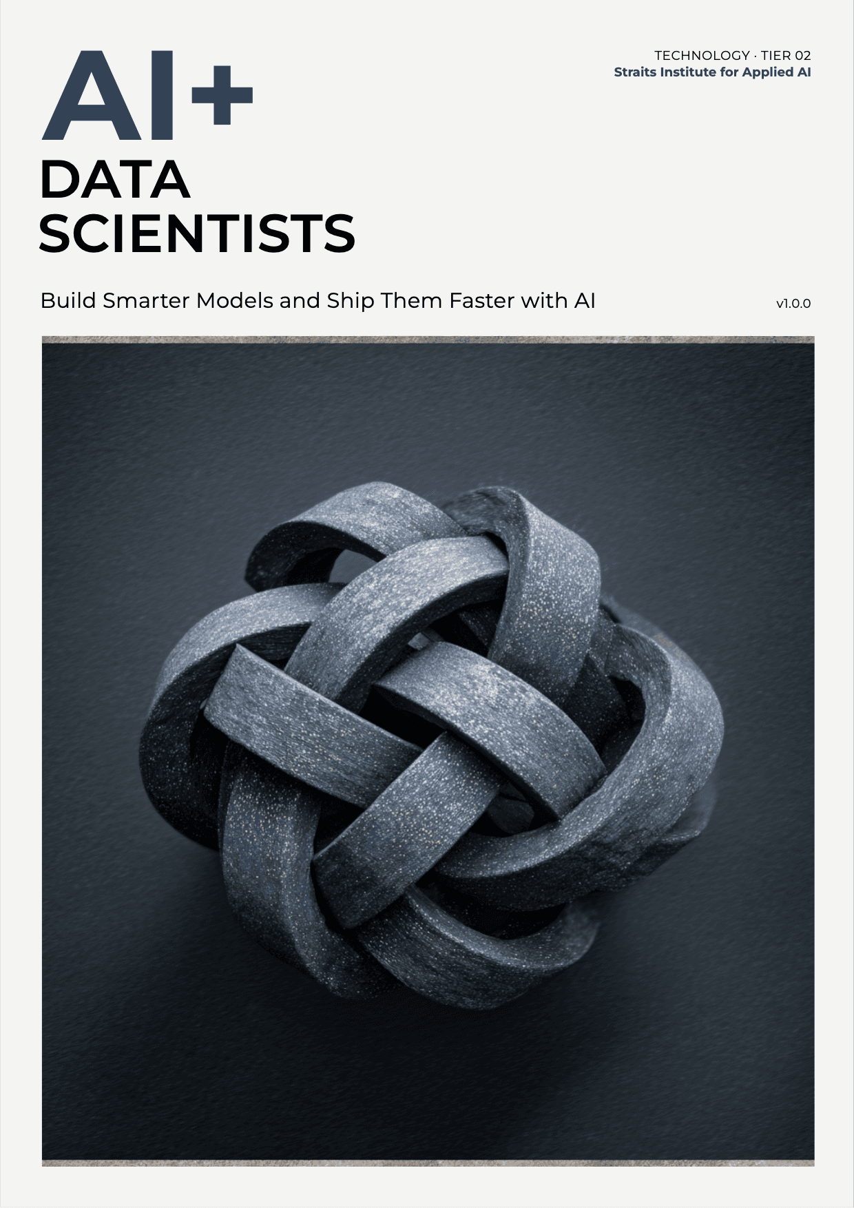 AI+ Data Scientists cover