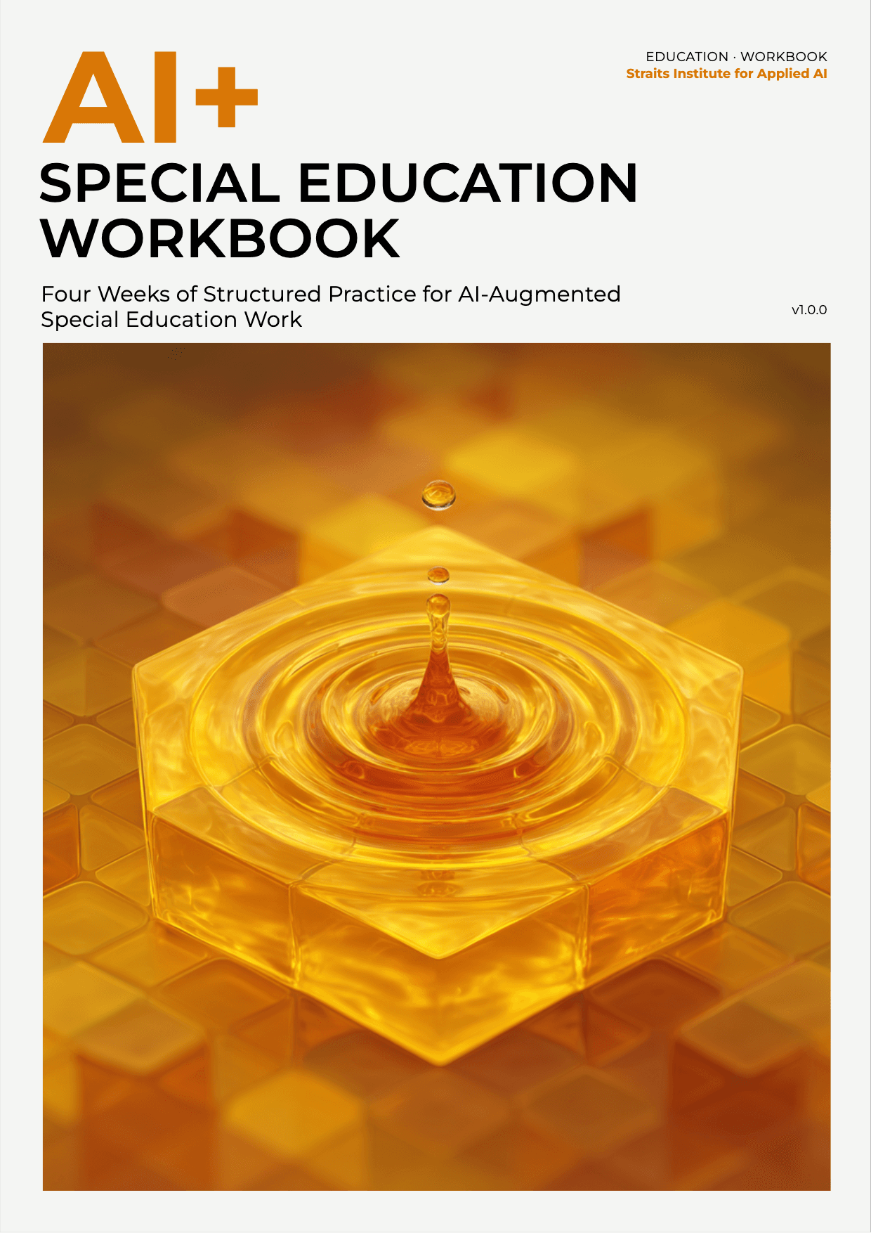 AI+ Special Education Workbook cover
