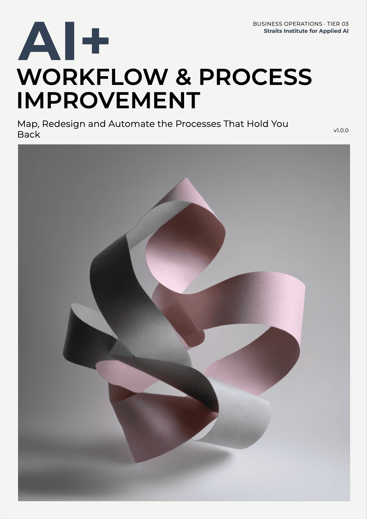 AI+ Workflow & Process Improvement cover