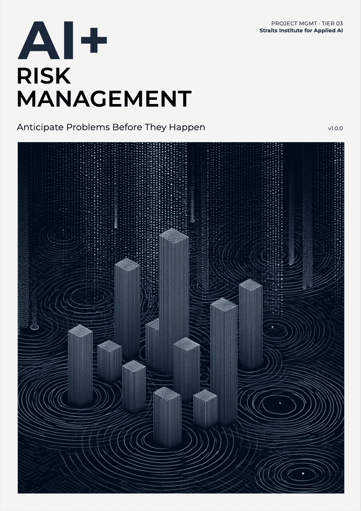 AI+ Risk Management cover
