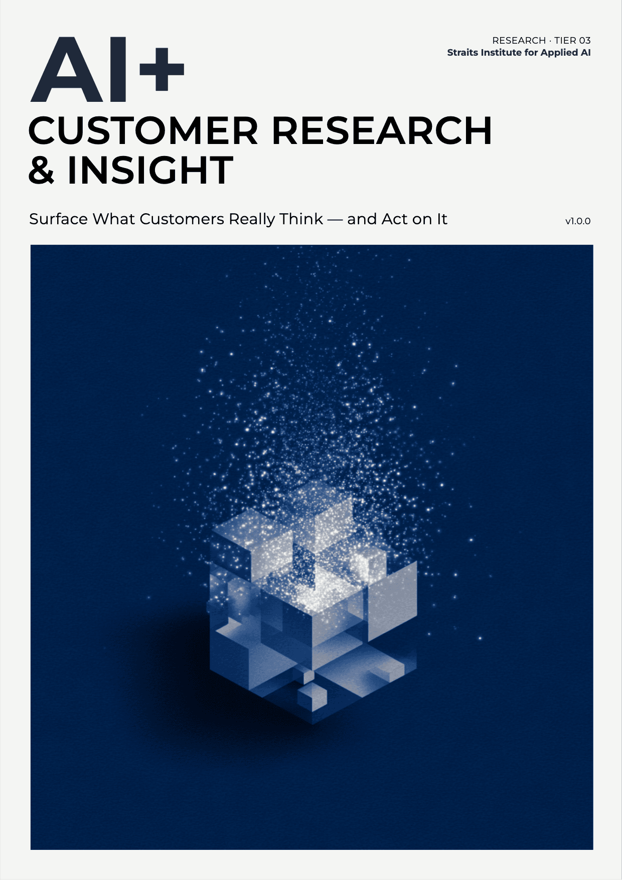 AI+ Customer Research & Insight cover