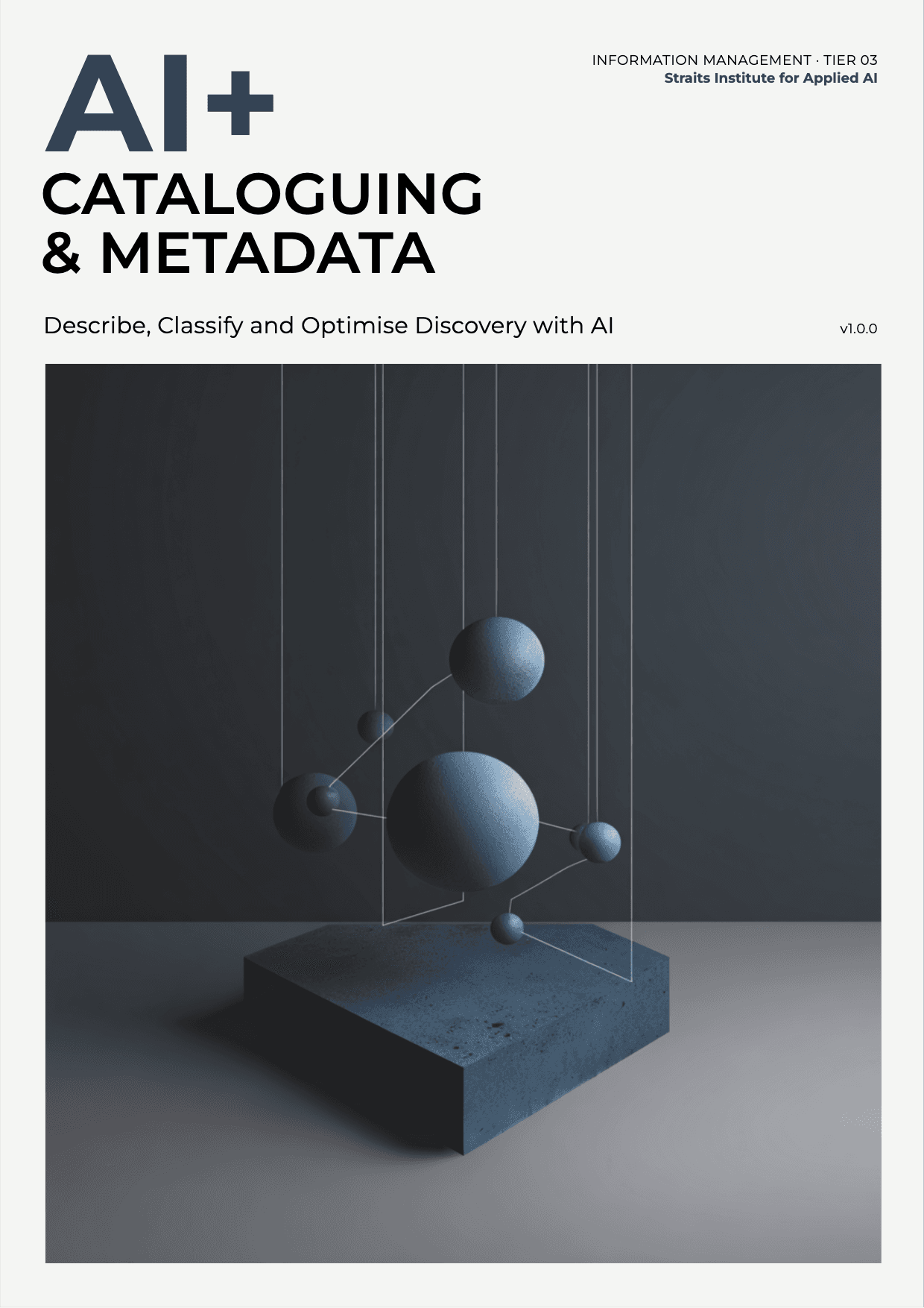 AI+ for Cataloguing & Metadata cover