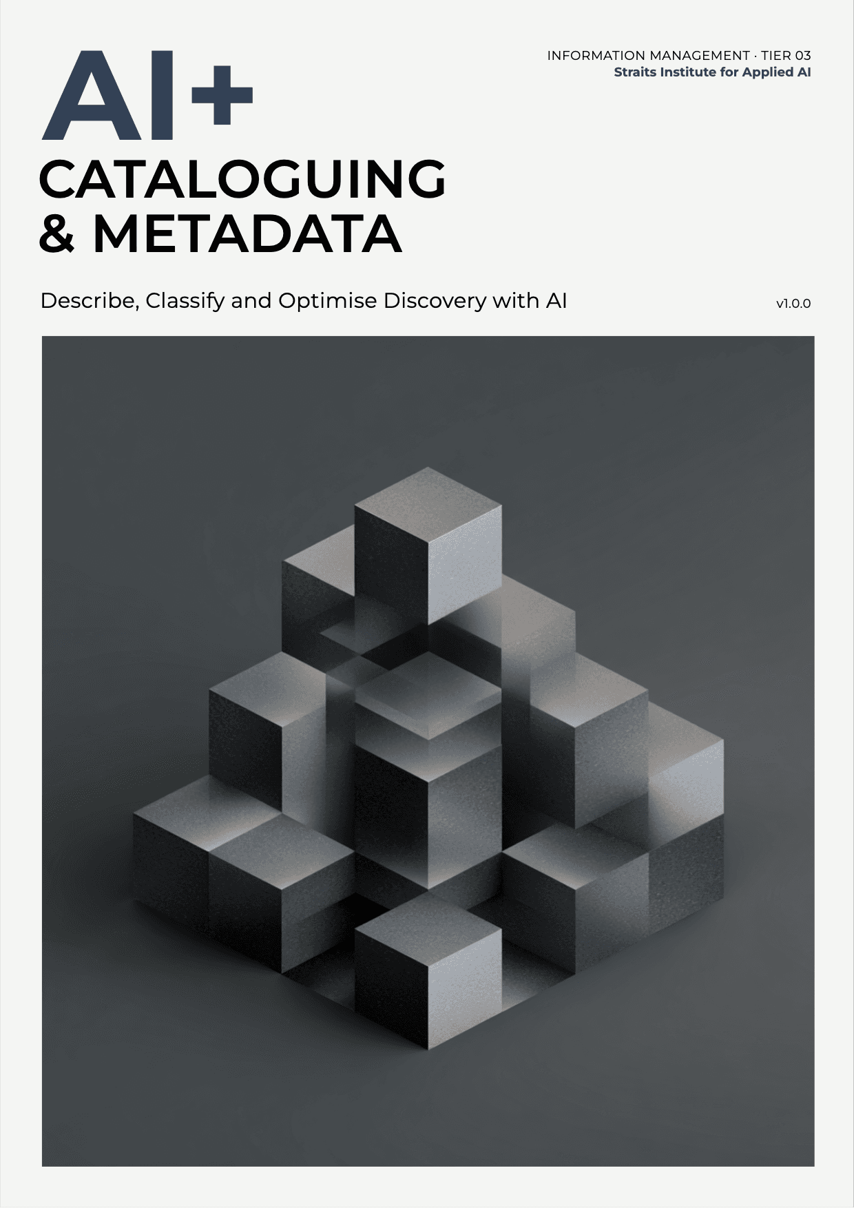 AI+ Cataloguing & Metadata cover